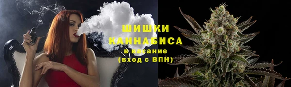 шишки Волоколамск