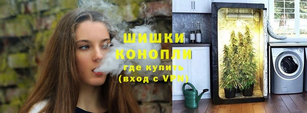 шишки Волоколамск
