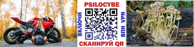 Псилоцибиновые грибы мухоморы  omg зеркало  Карабулак  купить  цена 